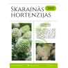 Šluotelinių hortenzijų sodinimas ir priežiūra - PDF