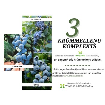 Stādu komplekts - trīs...