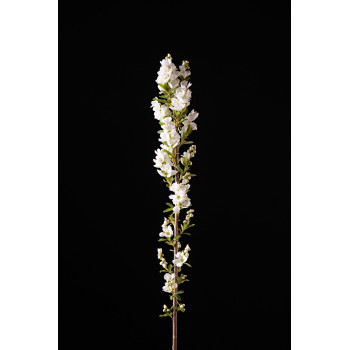 Ķekaru eksohorda Magical® Springtime – P9 kont. (iepriekšpārdošana)
