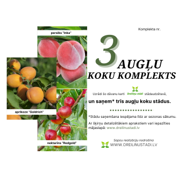 Dāvanu komplekts - 3 AUGĻU...