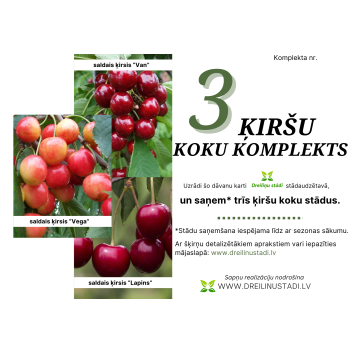 Dāvanu komplekts - 3 ĶIRŠI