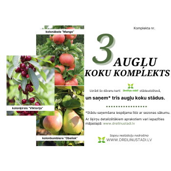 Dāvanu komplekts - 3 AUGĻU...
