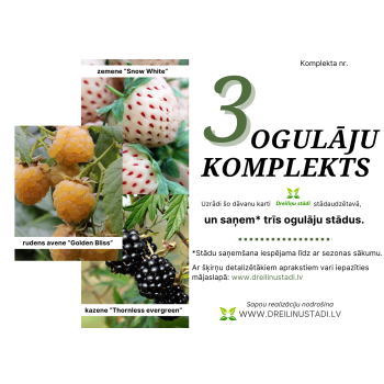 Dāvanu komplekts - 3 OGULĀJI