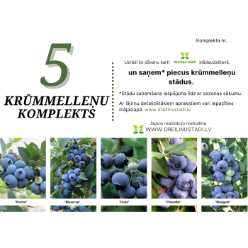 Dāvanu komplekts - 5...