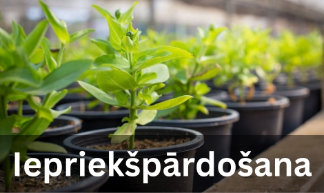 Iepriekšpārdošana