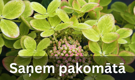 Saņem pakomātā