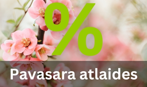 Pavasara atlaides
