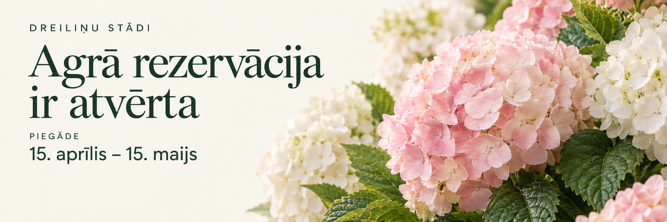 Dreiliņu Stādi — agrā rezervācija ir atvērta, piegāde 15. aprīlis – 15. maijs