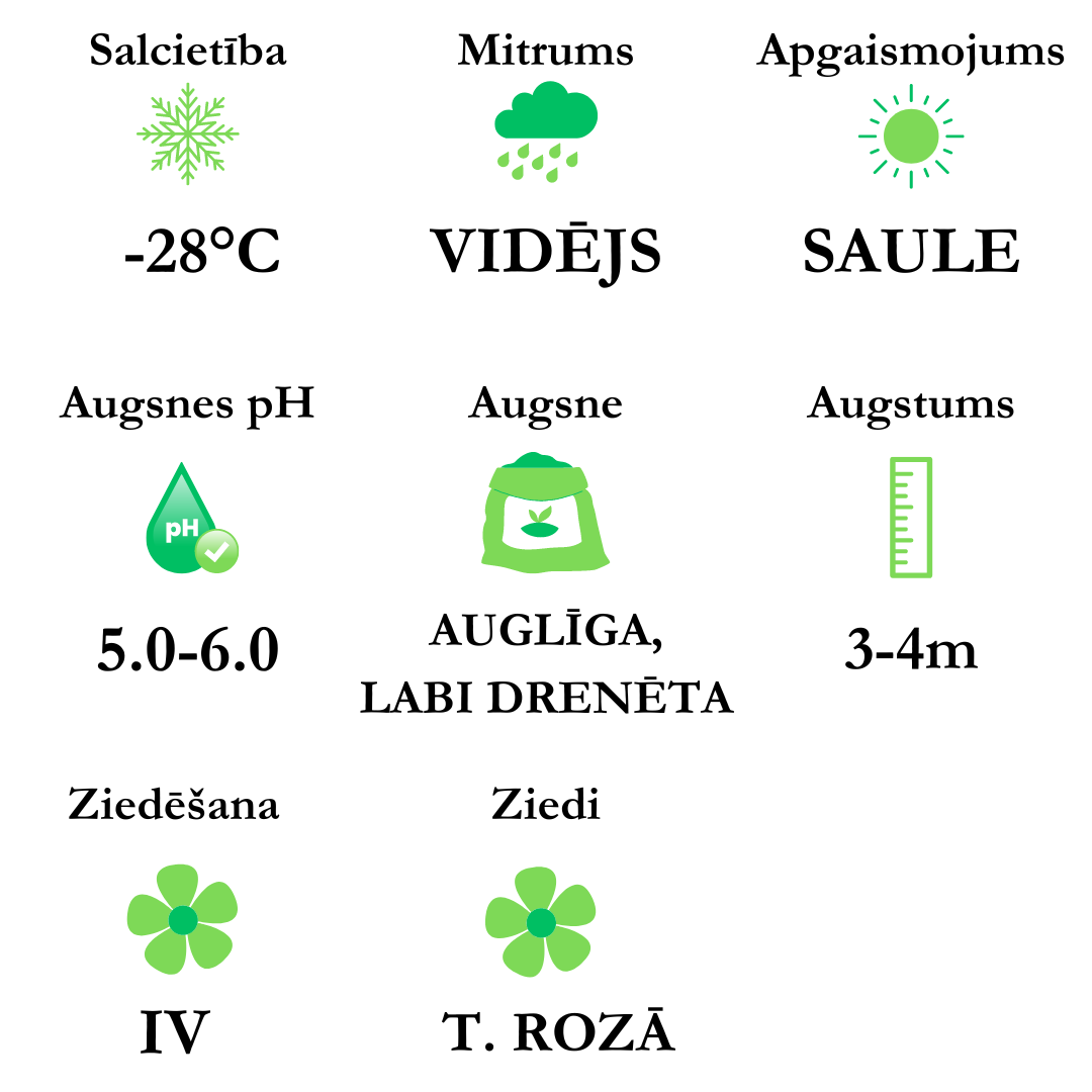 Grafiks ziediem - 2024-02-08T122945-296.png